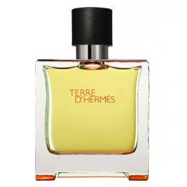 Hermes Terre D'Hermes Eau de Parfum for Men, 100ml-Ajmanshop