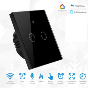 2 Gang Lighting Switch Remote Control Touch Switch With Voice Control - AjmanShop