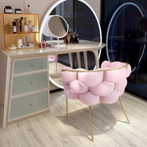 Customizable Modern Minimalist Bedroom Dressing Table Stool Backrest Chair Rose