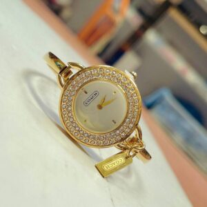Golden Stone Work Watch - AjmanShop