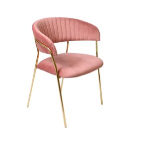 Occasional Velvet Chair for Dinning Peach