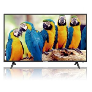 StarGold 4k Smart LED Tv Model SG–l5520 55 inch Television in Ajman Shop Dubai