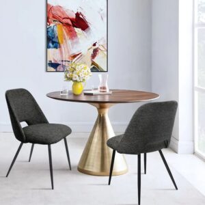 Velvet Stylish Side Chair for Home Dark Grey 1