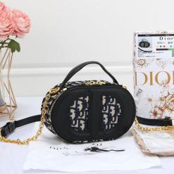 Dior Signature Oval Camera Bag- AjmanShop