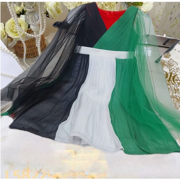 National Day Special Dress for Girls in Ajman Shop