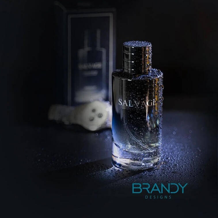 Salvage Perfume by Brandy For Men EDP 100 ml in Ajman Shop